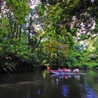 Tortuguero National Park Costa Rica