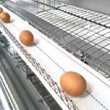 The Webbing N Tapes egg conveyor belt  